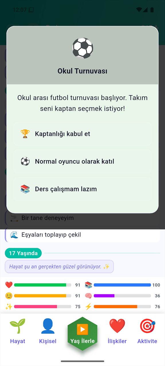 TR Simülasyon ekran görüntüsü